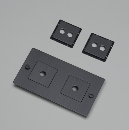 Buster + Punch EU 2G Wall Plate mit Inlay