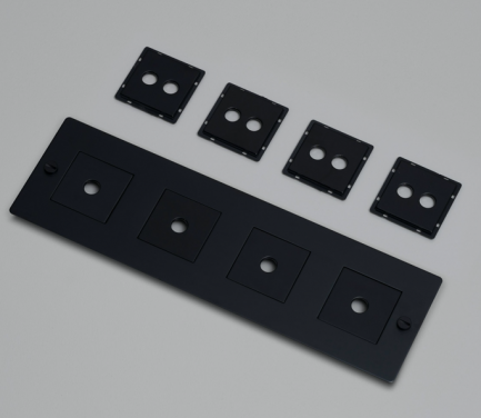 Buster + Punch EU 4G Wall Plate mit Inlay