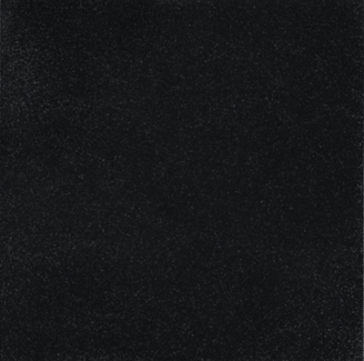 Buster + Punch EU Blank Module