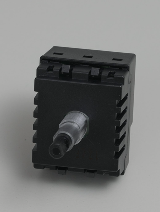 Buster + Punch EU Dimmer Module / 250W LED / Retractive